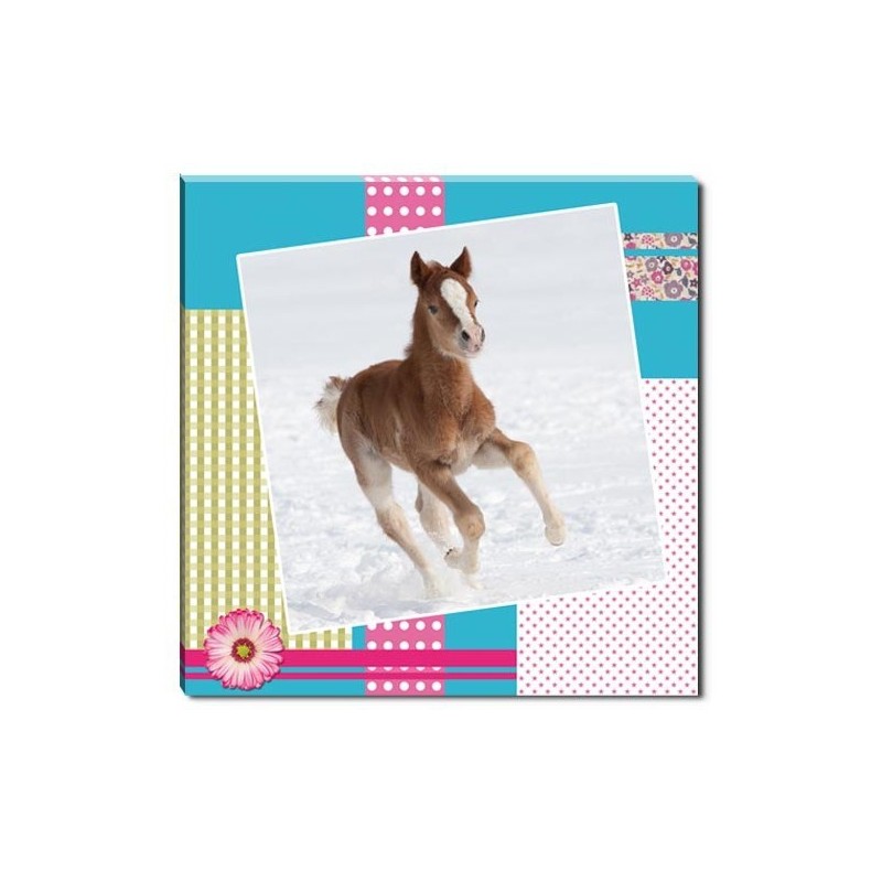 Toile carrée chevaux poulain 28 x 28 cm Cheval passion