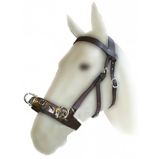 White Horse Equestrian Shetland-Extra Complet en Cuir Souple Dos Nu Strass stable