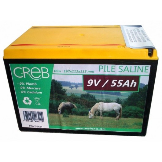 PILE SALINE PM 55 AMPERES LGE PILE SALINE PM 55 AMPERES LGE