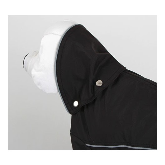 Ciré de pluie pour chien Manchester