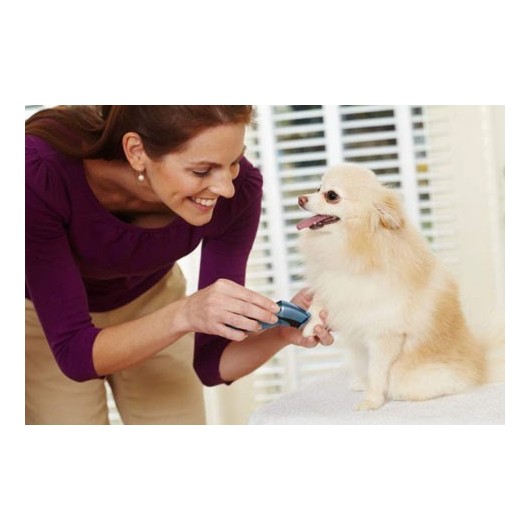 Mini tondeuse sans fil pour chien - Oster