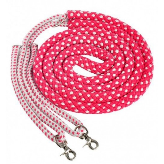 Enrênement aide à la longe éthologique Waldhausen