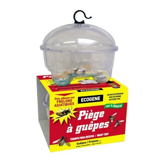 Piège à guêpes naturel réutilisable Piège à guêpes naturel réutilisable