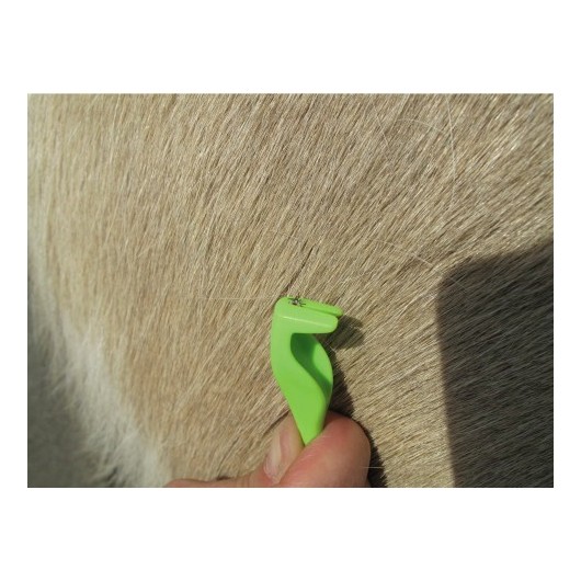 Pince à tiques (lot de 2) - Smartick