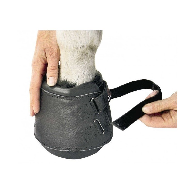 easyboot cheval