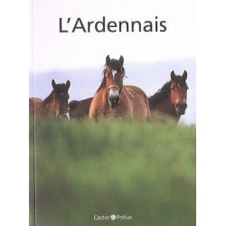 L'Ardennais F Bartelt Castor & Pollux