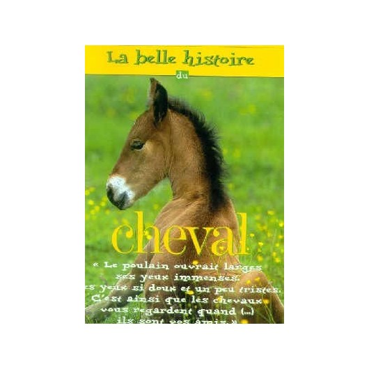 L/BELLE HISTOIRE DU CHEVAL(rustica)