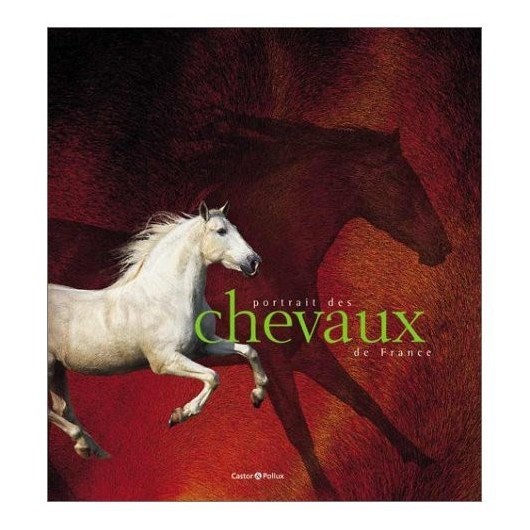 L/PORTRAIT DES CHEVAUX DE FRANCE(castor et pollux )