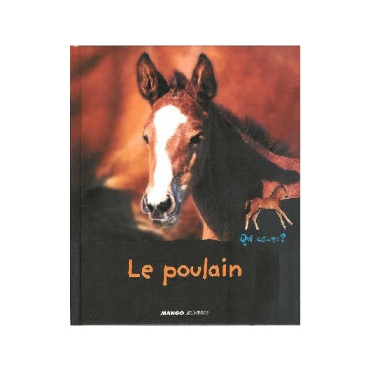 L/POULAIN (mango) L/POULAIN (mango)