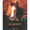 L/POULAIN (mango)