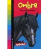 L/OMBRE LE PONEY SECRET (bayard poche)