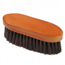 BROSSE ( poils crins mi-longs )  BOIS VERNI " HARD WOOD "AWA