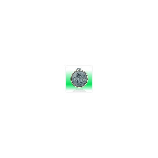 MEDAILLE PM GRAVEE ARGENTE TOUR DORE 32 mm