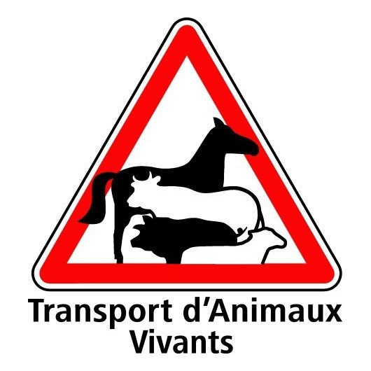 PLAQUETTE SIGNALISATION TRANSPORT ANIMAUX VIVANTS