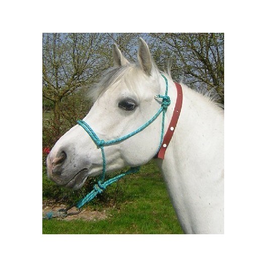 Collier anti-insectes chevaux Cheval-Naturellement