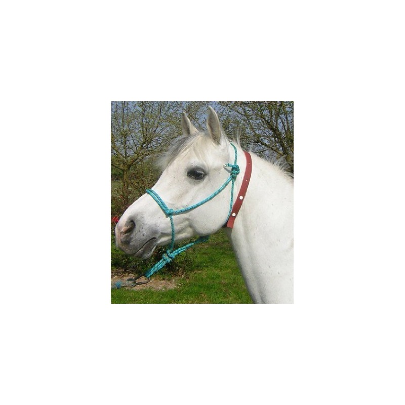 Collier Anti Insectes Chevaux Cavalhorse Collier Anti Insectes Chevaux Cheval Naturellement