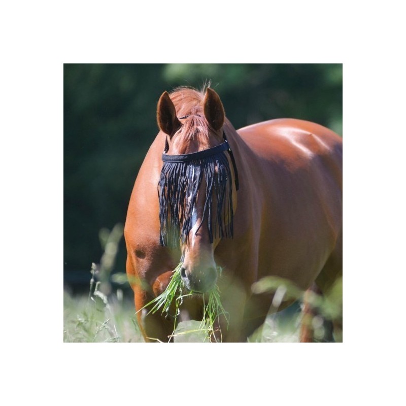 Chasse Mouche à Franges COB - Anti-mouche Cheval - Rouge