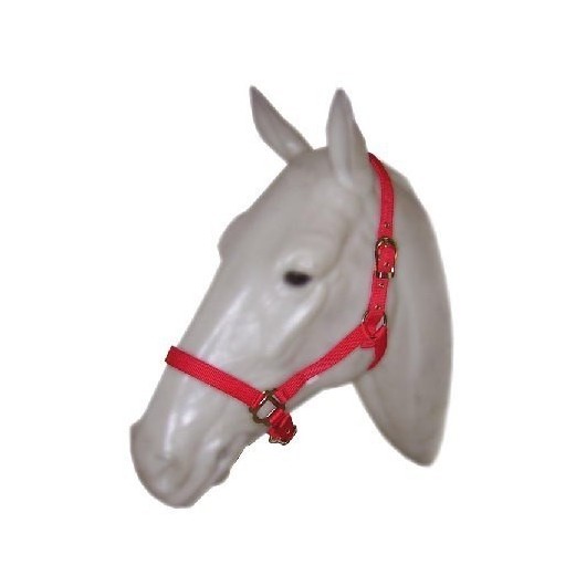 Licol nylon double épaisseur Cavalhorse Licol nylon double épaisseur Cavalhorse