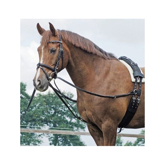 Rênes Vienne ou fixes reliées Y Star