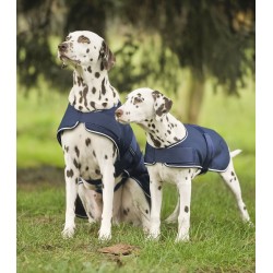 Couverture de pluie pour chien Waldhausen