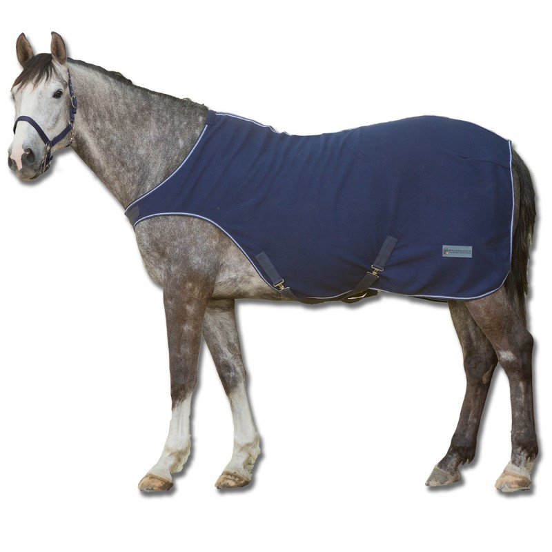 Chemise de marcheur polaire cheval Economic Waldhausen