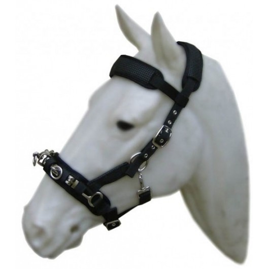 Caveçon nylon doublé néoprène Cavalhorse