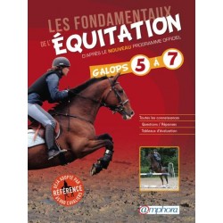 Les fondamentaux de l'équitation, Galops 5 à 7