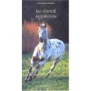 Le cheval appaloosa Fabienne Duthoit Editions Actes Sud