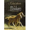 L'éducation du poulain Nathalie Pilley-Mirande François Rolland Editions Zulma