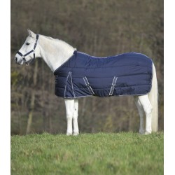 Couverture écurie cheval 200 g Economic Waldhausen