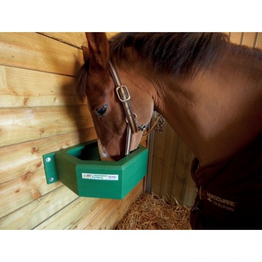 Mangeoire droite résine 21 L