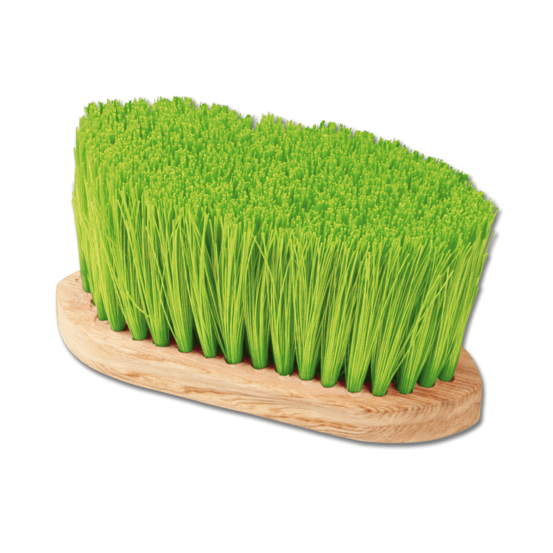 Brosse poils longs robe et crinière Waldhausen