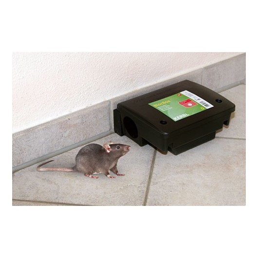 Boîte appâts rats moyen modèle BlocBox Beta