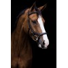 Bridon anatomique Micklem Rambo Competition Deluxe Horseware