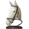 Bridon muserolle combinée surpiqûres blanche Cavalhorse