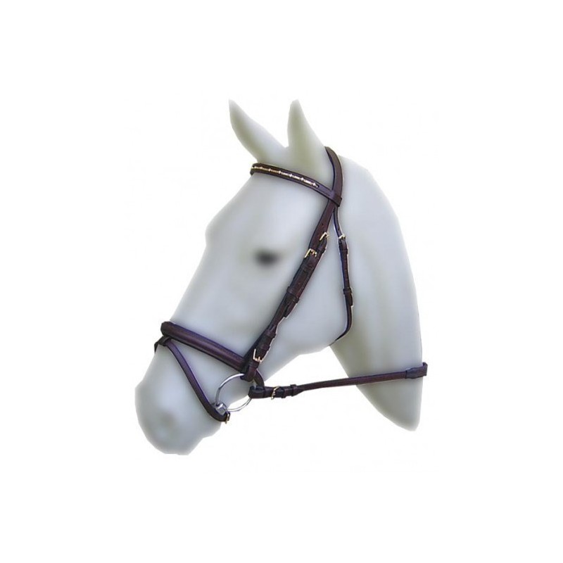 Bridon cuir muserolle combinée Cavalhorse