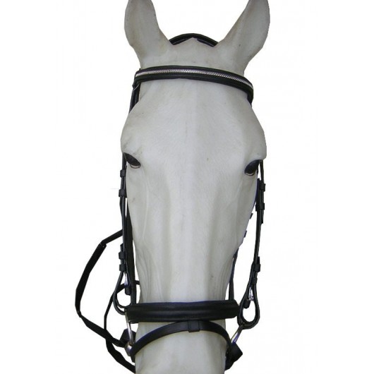 Bridon cuir muserolle combinée Cavalhorse