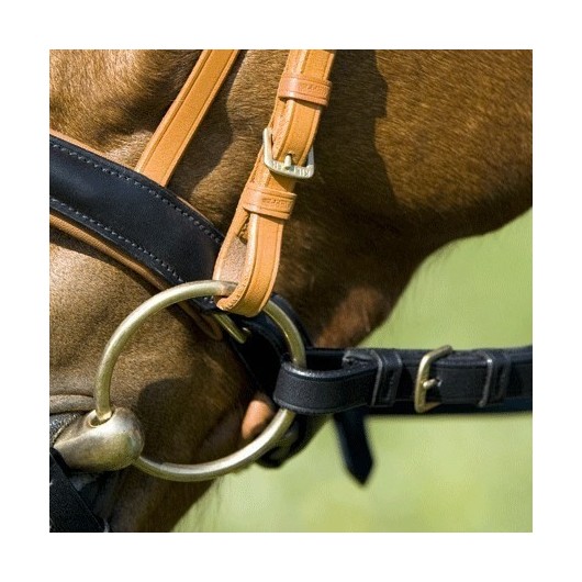 Bridon cuir muserolle combinée Bicolor Kieffer