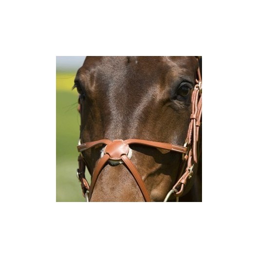 BRIDON " ARLENE " KIEFFER (bouc/jaun-ren/sang/mus/crois-fil/blanc) BRIDON " ARLENE " KIEFFER (bouc/jaun-ren/sang/mus/crois-fil/blanc)
