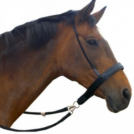 Bosal cheval en cuir fait sur mesure, noyau en nylon robuste