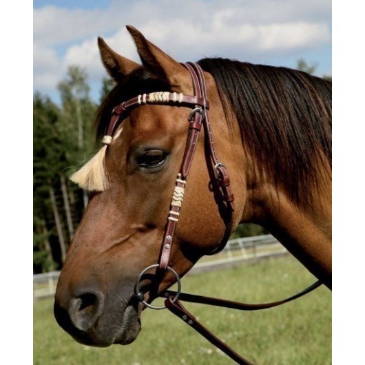 Bridon western Wyoming Star Bridon western Wyoming Star