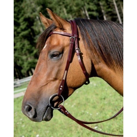 Bridon western Virginia Star Bridon western Virginia Star