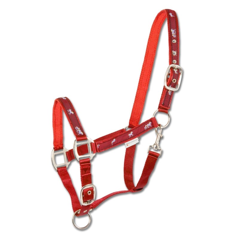 Licol nylon doublé Petits chevaux Waldhausen