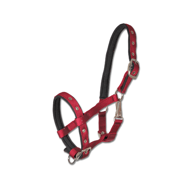 Licol nylon poulain Confort Waldhausen