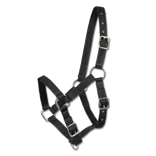 Licol nylon poulain First Step Waldhausen Licol nylon poulain First Step Waldhausen