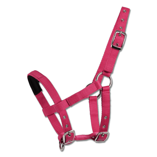 Licol matelassé mini-shetland Waldhausen