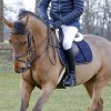 Amortisseur mouton synthétique Absorb - Kentucky Horsewear