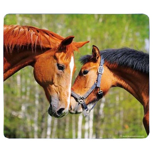 TAPIS SOURIS CHEVAL TAPIS SOURIS CHEVAL