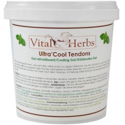 Gel refroidissant 1 kg Ultra Cool Tendons Vital Herbs