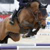 Protège-tendons cheval Elastic - Kentucky Horsewear